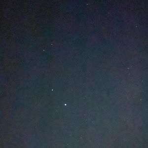 Meet your Posher, Julian